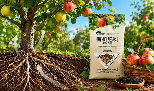 How Does a Fruit Tree Organic Fertilizer Manufacturer Improve Yield?