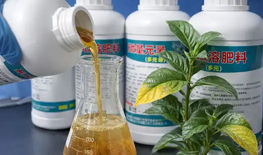 Can Micronutrient Fertilizers Correct Hidden Deficiencies?