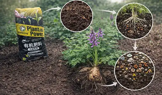 How Does Gastrodia Specialized Fertilizer Boost Plant Growth?