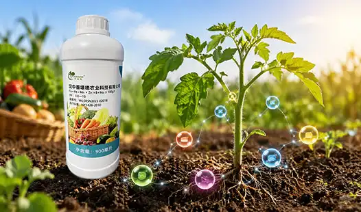 Micronutrient Fertilizers: The Secret to Stronger Crops?