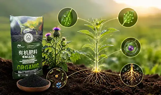 How Does Milk thistle Organic fertilizer Support Plant Metabolism?