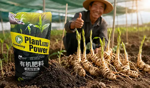 Why Farmers Prefer Gastrodia Specialized Fertilizer for Stable Output?