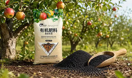 Best Fertilizer Options for Fruit Tree Growth