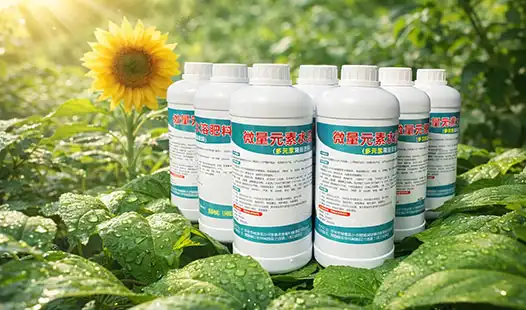 Micronutrient Fertilizers That Enhance Photosynthesis