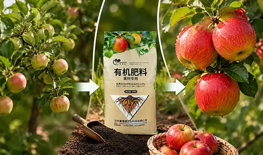 Can Fruit Tree Organic Fertilizer Increase Fruit Size and Sweetness?