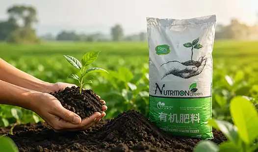 Organic fertilizer supplier Guide for High-Efficiency Soil Nutrition