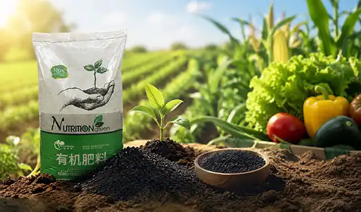 Why Choose Eco-Friendly Fertilizer for Crops?