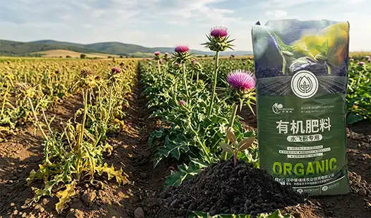 Can Silybum marianum Organic Fertilizer Improve Plant Resistance?