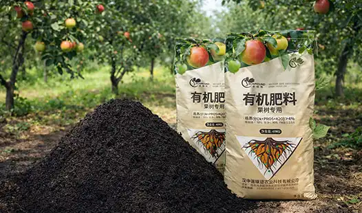 What NPK Ratio Is Ideal for Fruit Tree Organic Fertilizer?