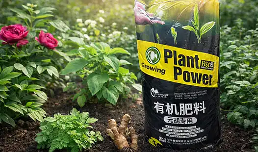 How Gastrodia Specialized Fertilizer Enhances Plant Health？