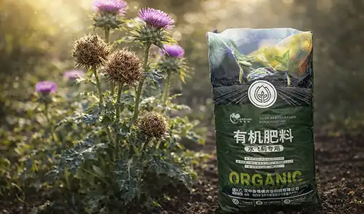 Which Fertilizer Boosts Silymarin in Milk Thistle Seeds?