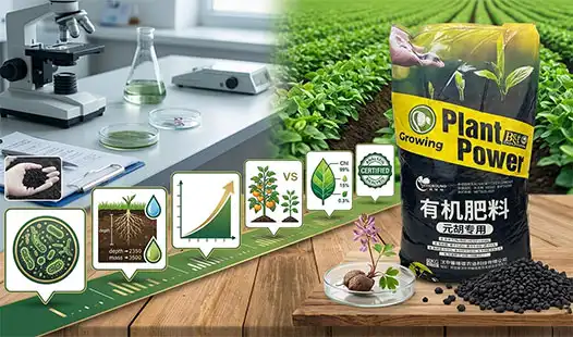 How Reliable Is Cordydalis Tuber Organic Fertilizer for High-Yield Farming?