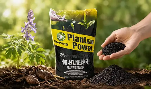 What Makes Cordydalis Tuber Organic Fertilizer a Premium Choice?