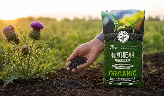 How to Select the Right Organic fertilizer for thistle Supplier?