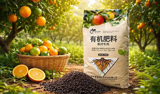 Which Fruit Tree Fertilizer Works Best for Citrus Trees?