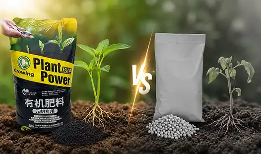 How Does Cordydalis Tuber Plant Fertilizer Compare to Other Fertilizers?