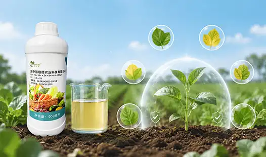 Can Micronutrients Water-soluble Fertilizers Prevent Nutrient Deficiencies?