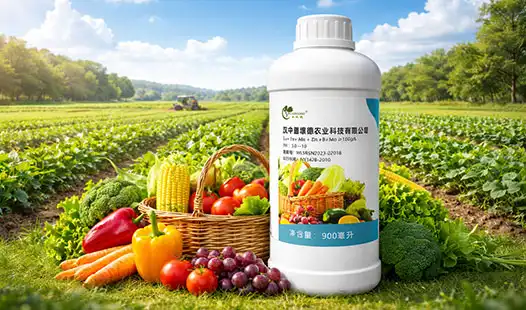 Top Micronutrient Fertilizers for Modern Agriculture