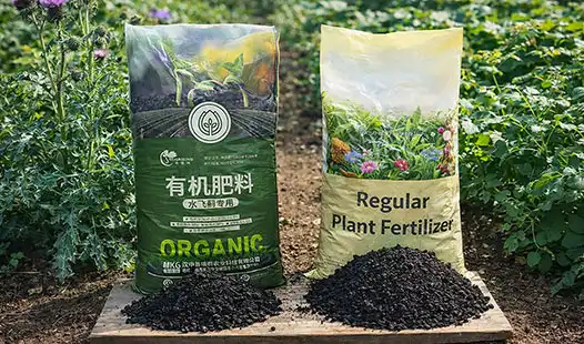 Milk Thistle Specialized Fertilizer vs. Regular Plant Fertilizer