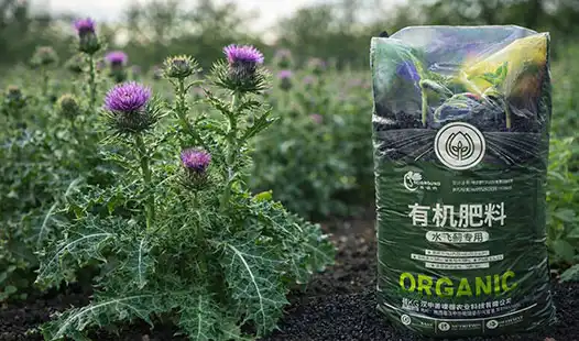 Can Organic Fertilizer Increase Thistle Resilience?