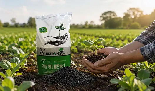 Why Choose a Reliable Organic Fertilizer Supplier for Your Farm?