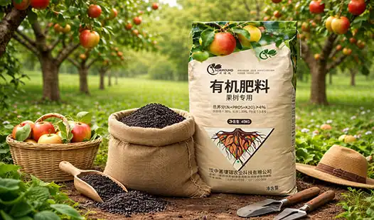 Professional Tips for Using Fruit Tree Fertilizer Properly