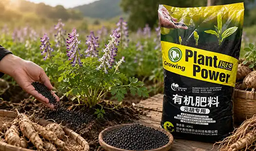 Why Is Cordydalis Tuber Organic Fertilizer Gaining Attention?
